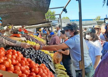 Contraloría ordena pagar el Bono Pymes a todos los feriantes que tengan el permiso municipal al día