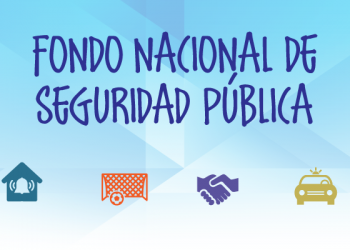  441 proyectos se postularon al Fondo Nacional de Seguridad Pública 2021