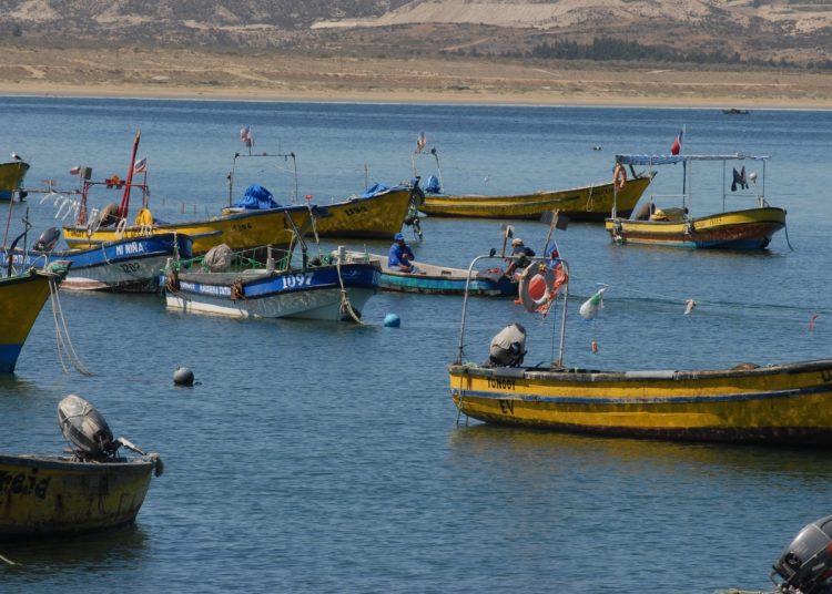 Organizaciones de pescadores artesanales podrán optar a fondos de gobierno