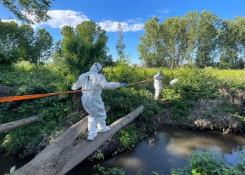 Fiscal confirma hallazgo de cuerpo de mujer en San Carlos