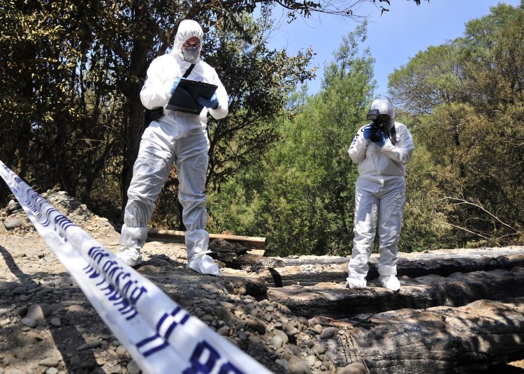 PDI recibió 59 órdenes para investigar incendios forestales en Biobío el 2021