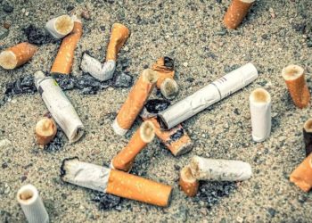 «Chao colillas»: proyecto quedó listo para su promulgación