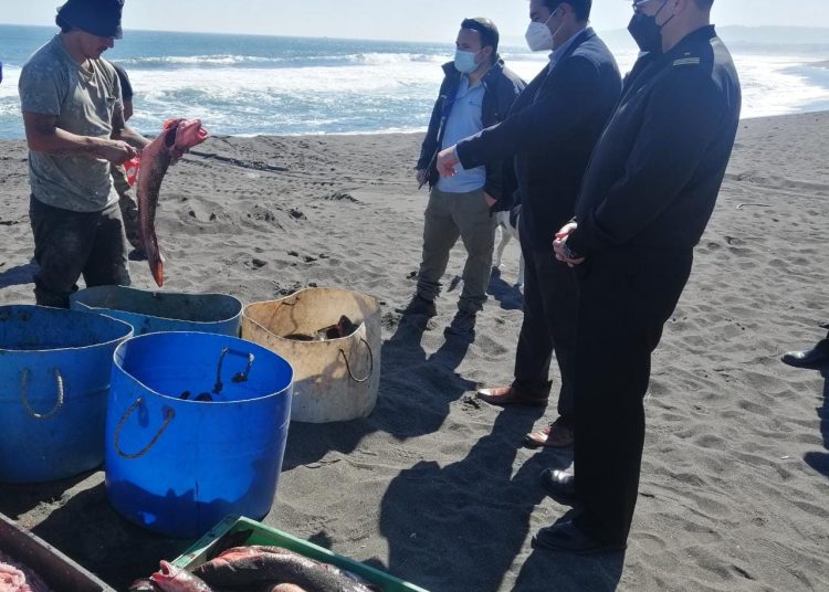 Delegado presidencial de Itata, Autoridad Marítima y Sernapesca Ñuble fiscalizaron embarcaciones en Cobquecura