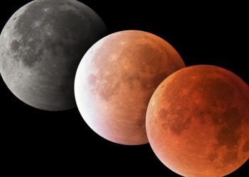 Hoy domingo será visible el primer eclipse lunar del 2022 en Chile