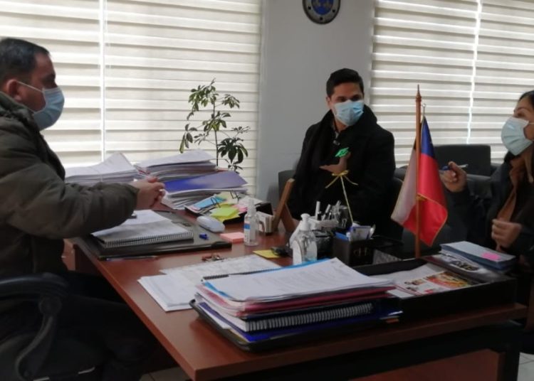 UDEC realizará estudio sobre propiedades de la «papaya» de Cobquecura