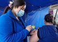 Vacunación contra la Influenza llega al 100% en región de Ñuble