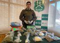 Carabineros del OS7 Ñuble desbarató organización criminal y le incautó más de 3.500 dosis de diversas drogas