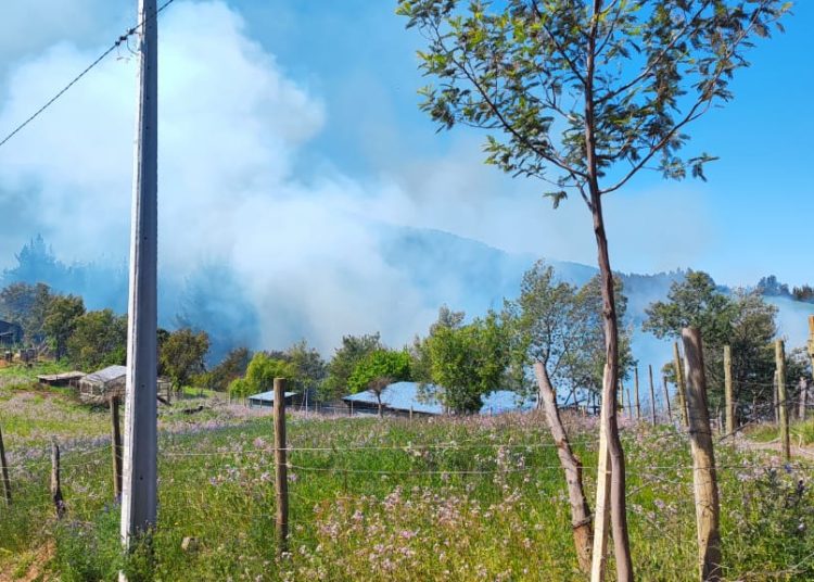Incendio de pastizales moviliza a bomberos de Quirihue y Ninhue
