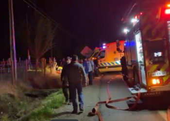 Mujer que acompañaba a su hijo a pedir dulces por Halloween muere atropellada en La Araucanía