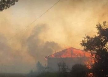 Declaran alerta roja por incendio forestal en Pelluhue que amenaza viviendas
