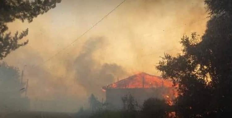 Declaran alerta roja por incendio forestal en Pelluhue que amenaza viviendas