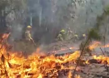 Onemi ordena evacuar sectores poblados cercanos a Santa Juana por incendio forestal