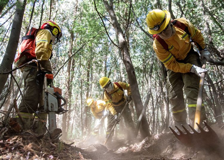Corma: Empresas forestales despliegan 60 aeronaves y 3.300 brigadistas para combate de incendios