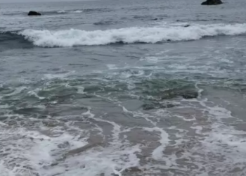 Joven mujer muere mientras practicaba surf en Cocholgüe: se golpeó la cabeza con un tronco