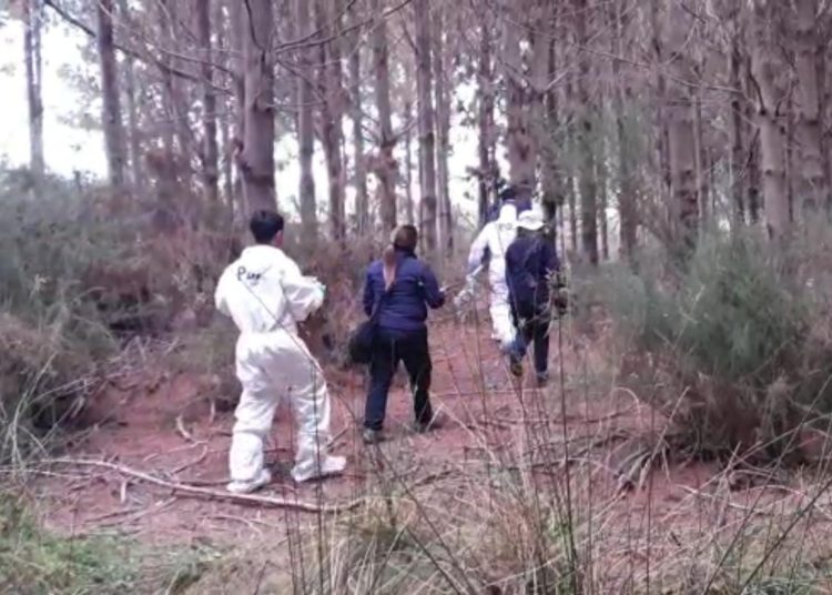 Fiscalía indaga doble homicidio a partir de hallazgo de cadáveres en un bosque en Los Álamos