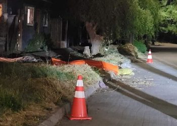 Un hombre murió tras ser atacado por dos perros pitbull en Renaico