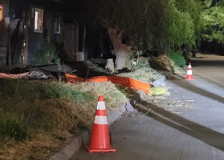 Un hombre murió tras ser atacado por dos perros pitbull en Renaico