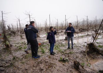 Indap dispuso $4.000 millones en ayuda inmediata para afectados por las lluvias