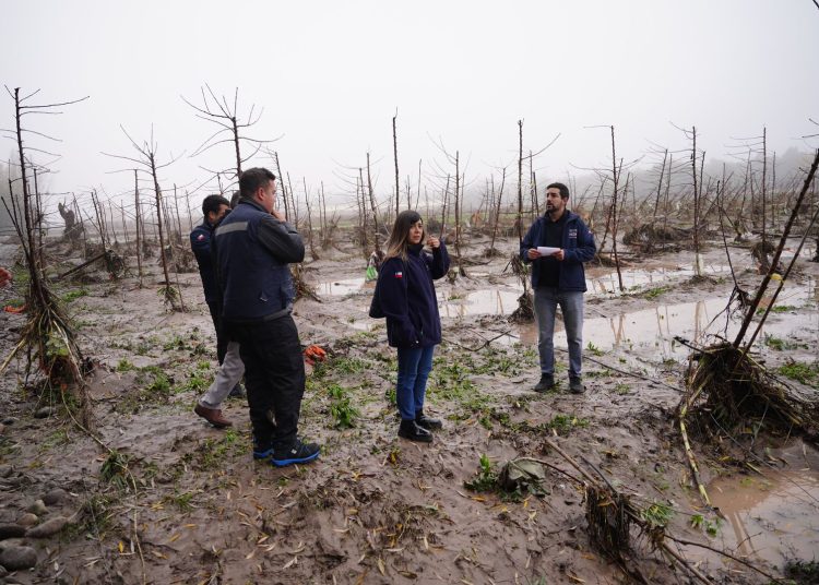 Indap dispuso $4.000 millones en ayuda inmediata para afectados por las lluvias