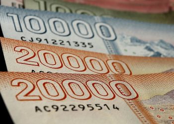 Bolsillo Familiar Electrónico: consulta con tu RUT si eres beneficiario