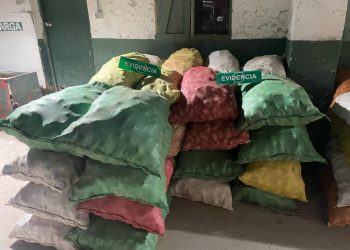 Decomisan 7 toneladas de papas que intentaban ingresar por Bolivia y Perú ante explosión de precios