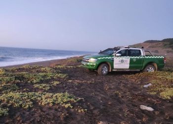 Carabineros detuvo a sujeto sospechoso por femicidio frustrado en Trehuaco tras lanzarla al mar