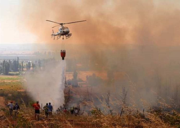 Casi 7 hectáreas ha destruido incendio forestal en Portezuelo