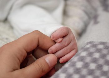 Detienen a joven por infanticidio en Talcahuano: habría enterrado a bebé en cementerio de mascotas