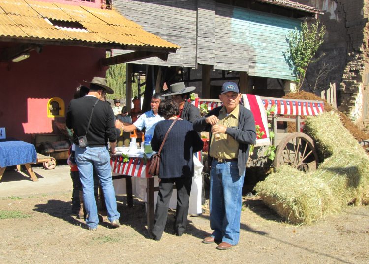 Ránquil anuncia una nueva versión de su tradicional Fiesta de la Chicha 