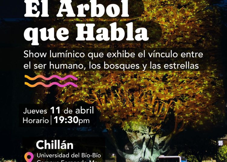 En Chillán presentarán novedosa experiencia cultural «El árbol que habla»