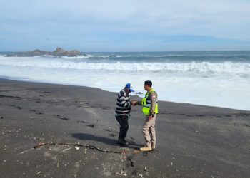 Emiten alerta por fuertes marejadas en Cobquecura y costa del Itata