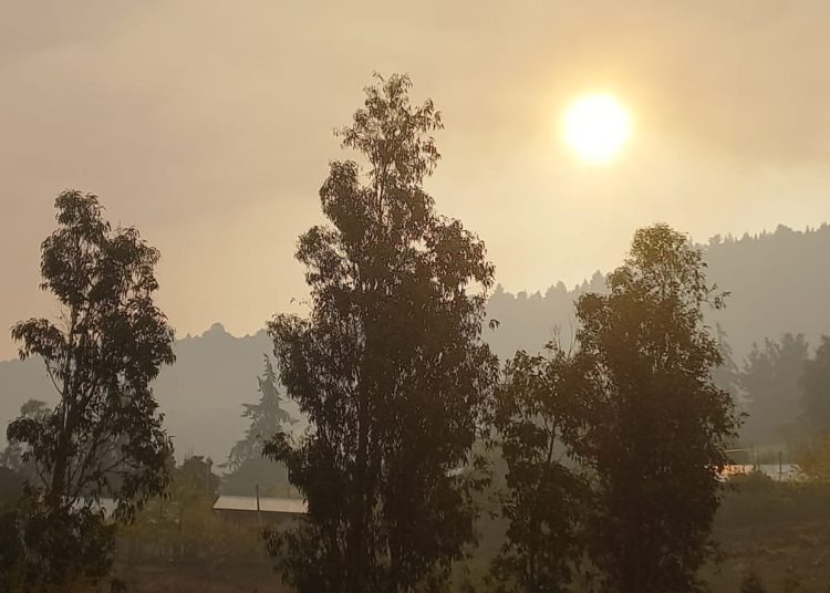 Dirigente vecinal denuncia que Ninhue está «tapado por el humo» de quemas agrícolas
