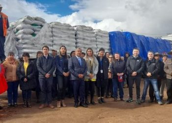 Usuarios de Prodesal Quirihue reciben ayuda gestionada con INDAP