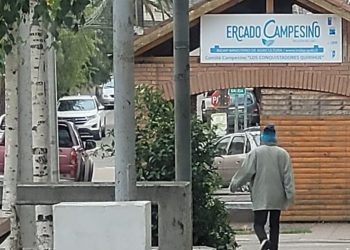 Joven delincuente fue detenido en Quirihue por robos: Quedó en libertad y a los pocos minutos volvió a robar