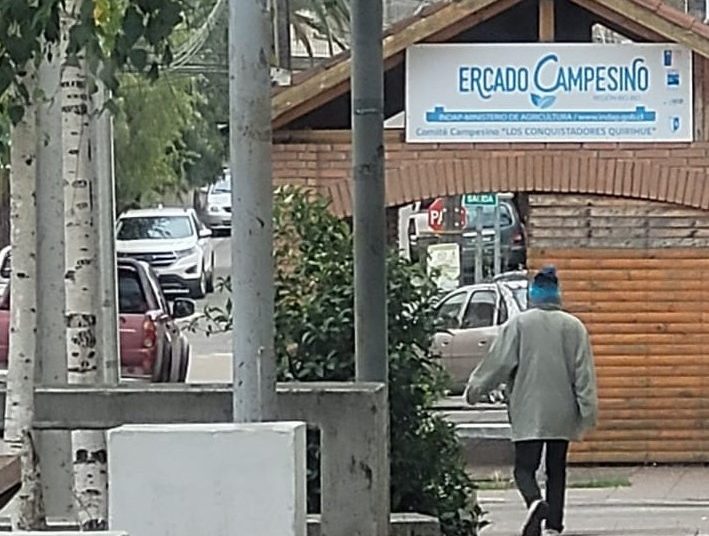 Joven delincuente fue detenido en Quirihue por robos: Quedó en libertad y a los pocos minutos volvió a robar