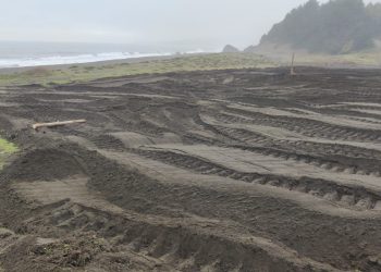 Municipio de Cobquecura solicitó fiscalizaciones por intervención en loteo particular en playa Montezorro