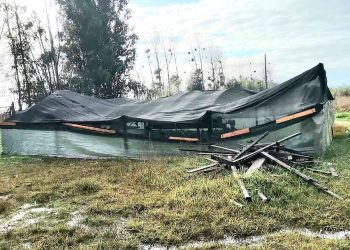 Al menos 75 agricultores resultaron afectados por el sistema frontal en San Nicolás