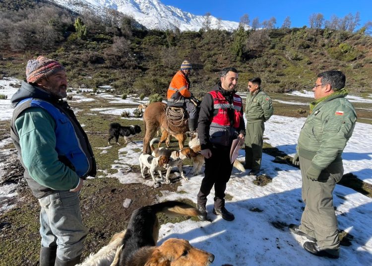 Con apoyo de Sección Aeropolicial Biobío: Carabineros y municipio de San Fabián llevaron alimentos y enseres a familias de la cordillera