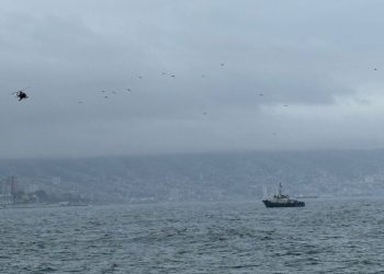 Buscan a menor que fue arrastrada por olas en playa Los Cañones de Viña del Mar