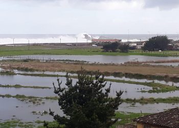Emiten Alerta por Marejadas anormales desde hoy Viernes al Domingo en borde costero de Itata y Ñuble