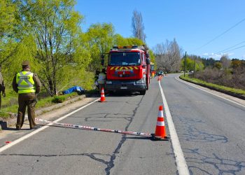 Joven quirihuana fallece al volcar jeep que conducía por ruta Quirihue a Trehuaco: Su madre está herida