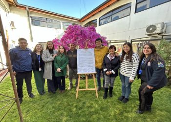 Firman convenio para implementar Red Local de Apoyos y Cuidados en Ránquil