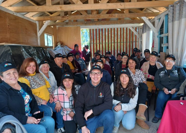 Vecinos de Goropeumo en Trehuaco instalaron focos led con proyecto FNDR