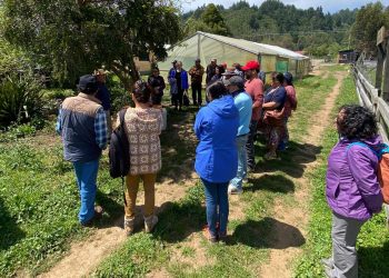 Visita a granja agroecológica en Buchupureo inspira a productores de Prodesal Chillán