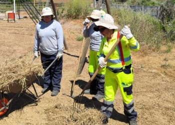 Trabajadoras del programa de CONAF realizan despeje de terrenos con pastizales en Quirihue