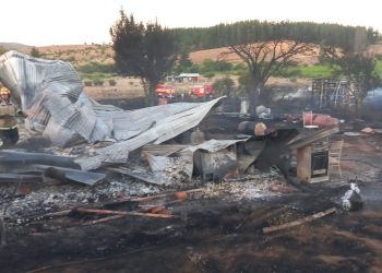 Incendio de pastizales destruyó una vivienda y un galpón en sector Hualte en Ninhue