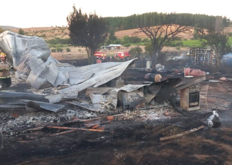Incendio de pastizales destruyó una vivienda y un galpón en sector Hualte en Ninhue