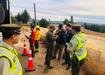 Incendio forestal entre Quirihue y Trehuaco destruye 120 hectáreas: está contenido