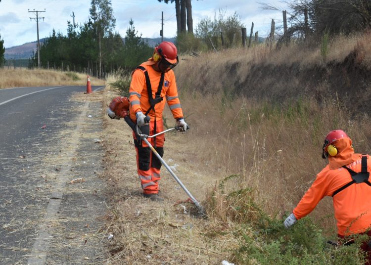 Continúa limpieza de fajas viales en Itata y Ñuble: Van más de 2.500 kms intervenidos