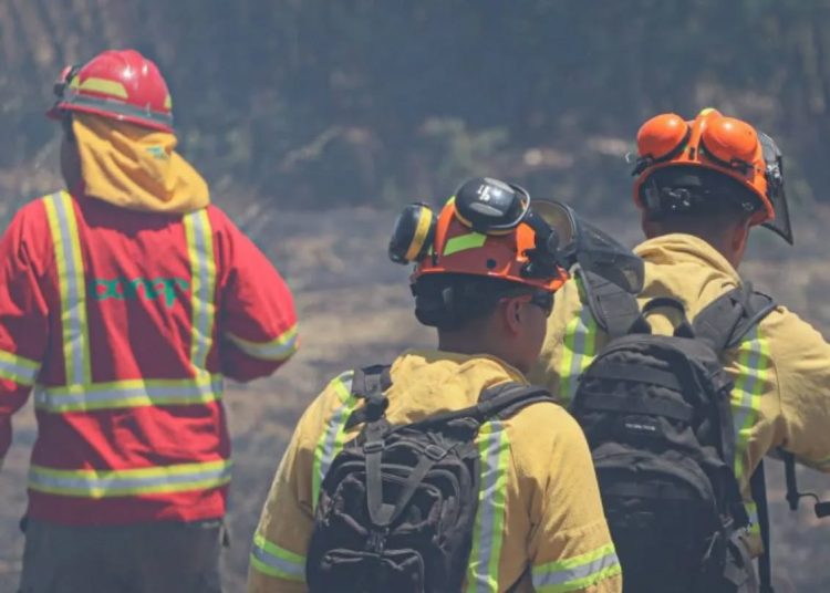 En Ñuble logran controlar uno de los incendios en Pinto y el otro sigue activo en San Ignacio y Pinto